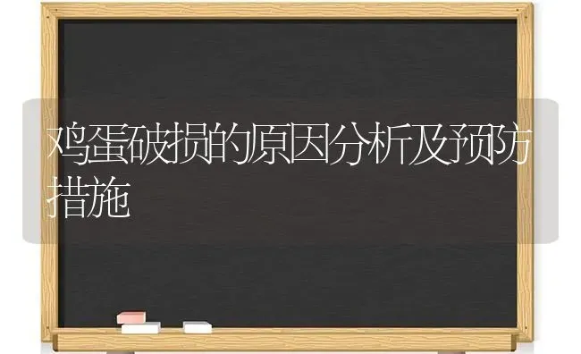 鸡蛋破损的原因分析及预防措施 | 家禽养殖