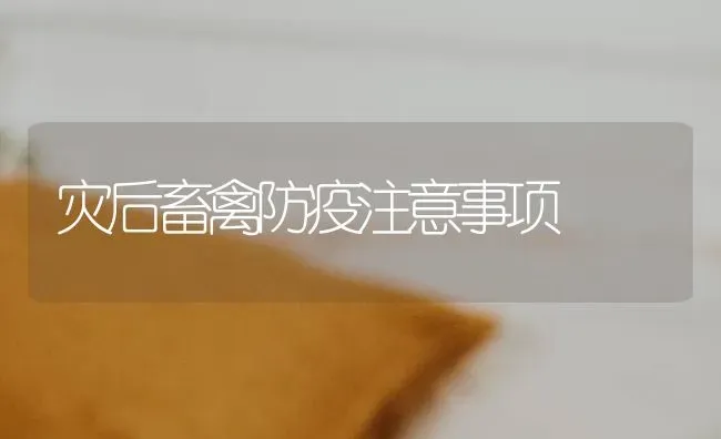 灾后畜禽防疫注意事项 | 家禽养殖