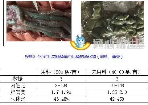 花鲢养殖户如何如何选择与投喂鳙鱼饲料？