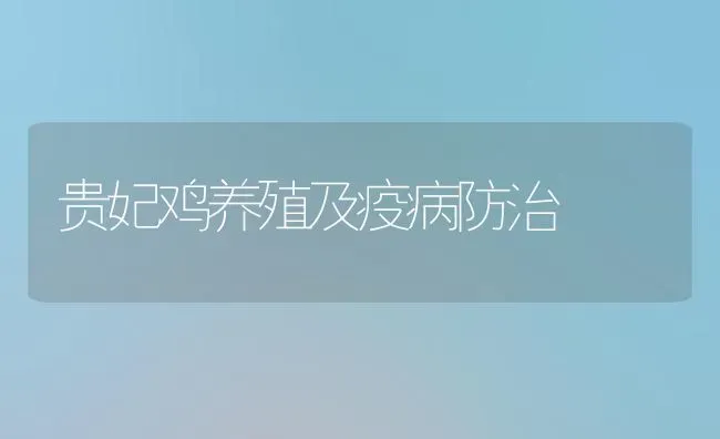 贵妃鸡养殖及疫病防治 | 家禽养殖