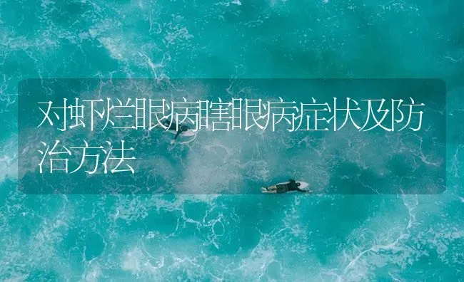 对虾烂眼病瞎眼病症状及防治方法 | 海水养殖