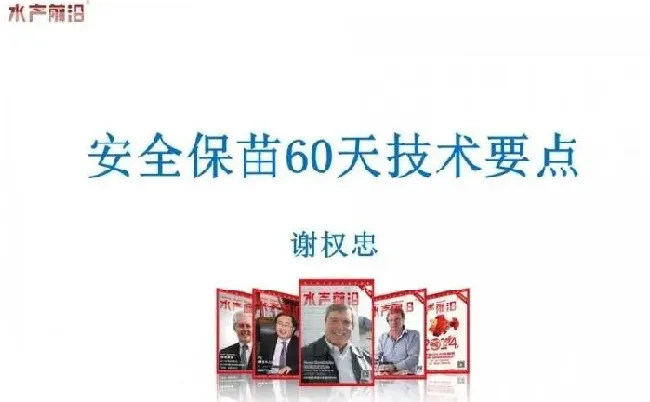 南美白对虾养殖户安全保苗60天技术要点