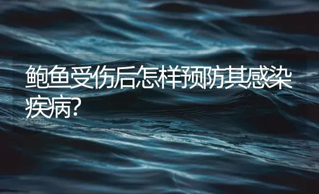 鲍鱼受伤后怎样预防其感染疾病？ | 海水养殖