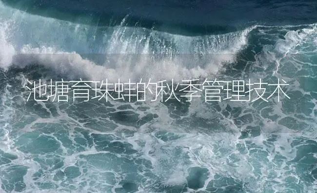 池塘育珠蚌的秋季管理技术 | 海水养殖