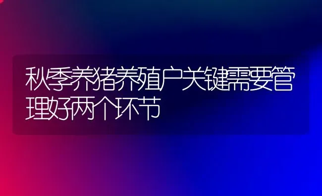 秋季养猪养殖户关键需要管理好两个环节 | 家畜养殖