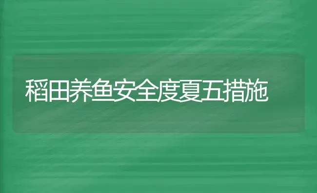 稻田养鱼安全度夏五措施 | 淡水养殖