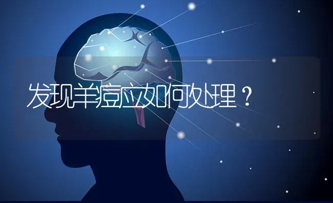 发现羊痘应如何处理？ | 家畜养殖