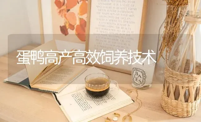 蛋鸭高产高效饲养技术 | 家禽养殖