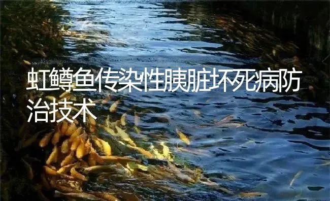 虹鳟鱼传染性胰脏坏死病防治技术 | 淡水养殖