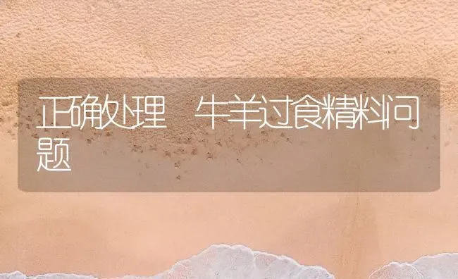 正确处理 牛羊过食精料问题 | 家畜养殖