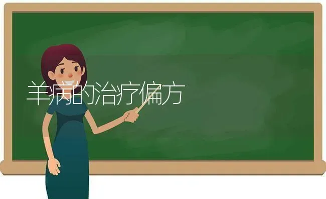 羊病的治疗偏方 | 家畜养殖