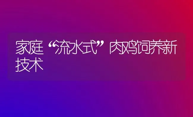 家庭“流水式”肉鸡饲养新技术 | 家禽养殖