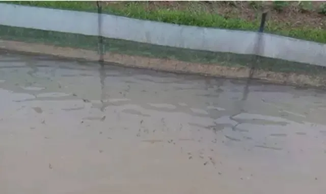 河蟹生长关键期遇上梅雨天，一线技术专家给你的八大建议