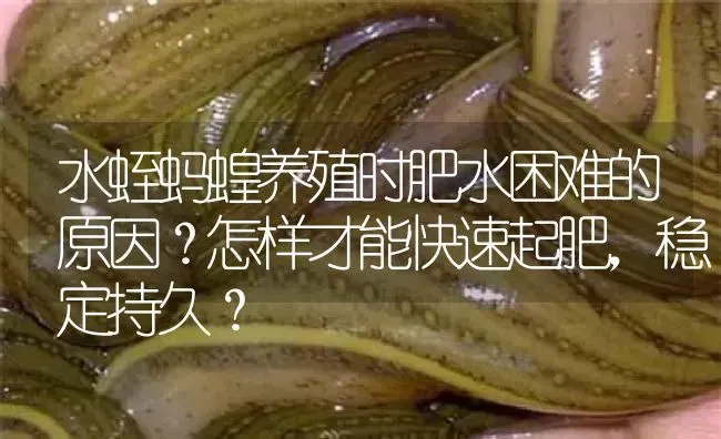 水蛭蚂蝗养殖时肥水困难的原因？怎样才能快速起肥，稳定持久？ | 特种养殖