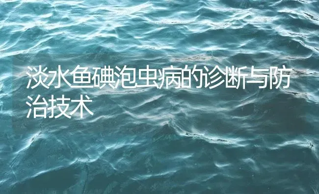 淡水鱼碘泡虫病的诊断与防治技术 | 养殖病虫害防治