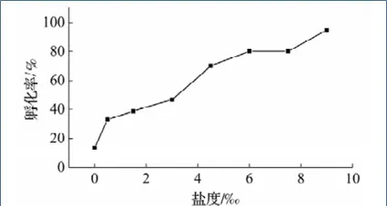 黄花鱼突然大量死亡，究竟什么鬼在搞事情……