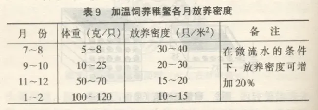 黄沙鳖养殖技术之稚鳖饲养