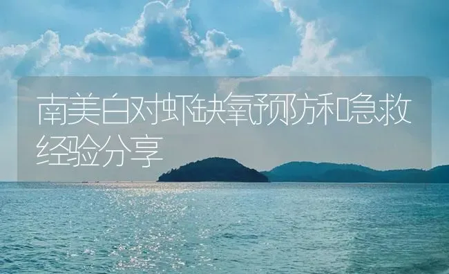 南美白对虾缺氧预防和急救经验分享 | 海水养殖