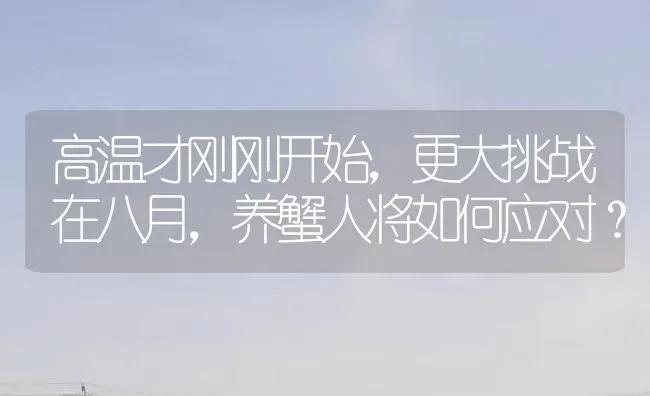 高温才刚刚开始，更大挑战在八月，养蟹人将如何应对？ | 淡水养殖