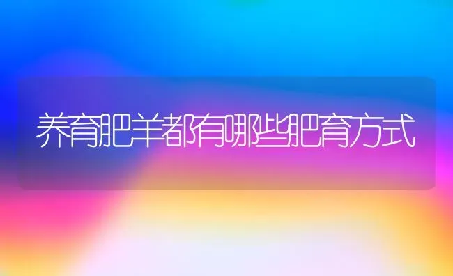 养育肥羊都有哪些肥育方式 | 家畜养殖