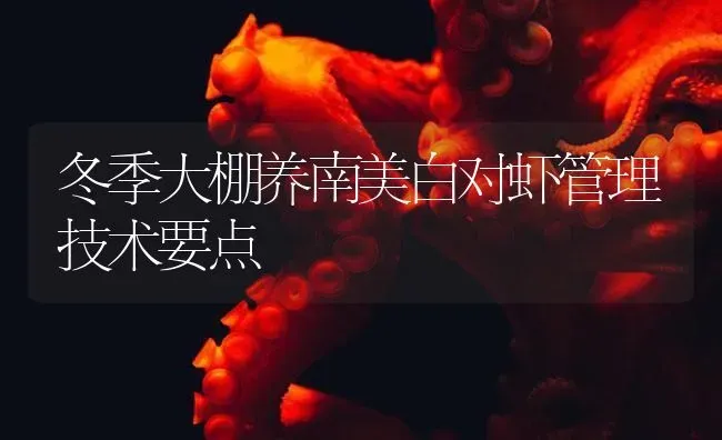 冬季大棚养南美白对虾管理技术要点 | 海水养殖