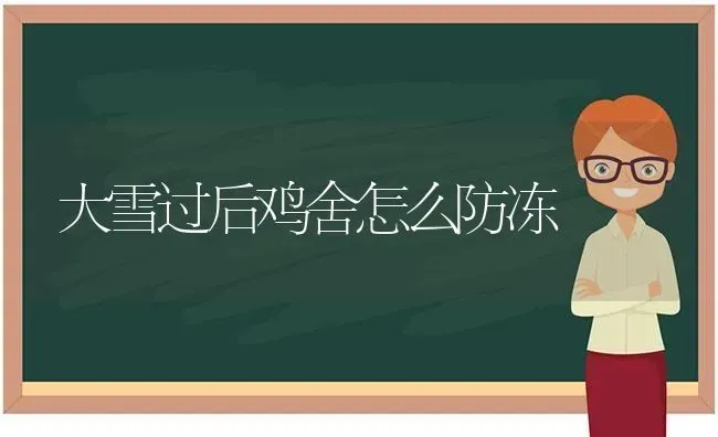 大雪过后鸡舍怎么防冻 | 家禽养殖