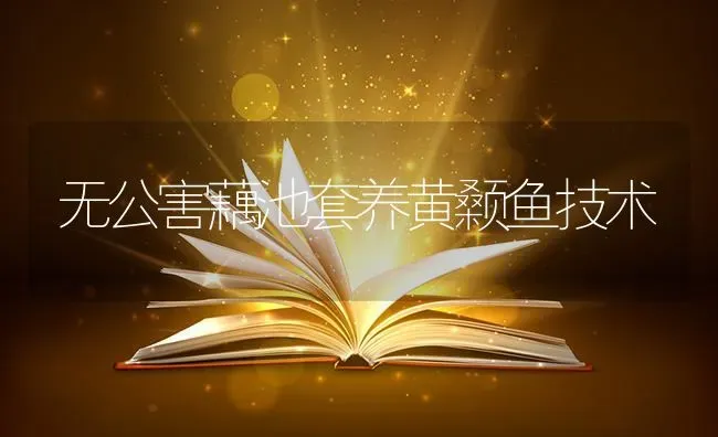 无公害藕池套养黄颡鱼技术 | 淡水养殖