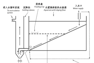 南美白对虾常用饲料原料的消化率研究进展