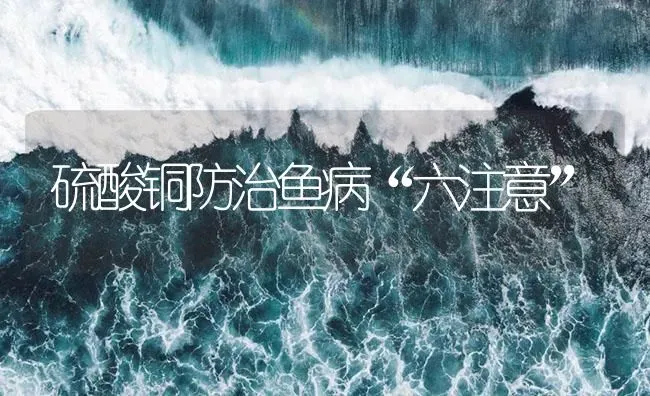 硫酸铜防治鱼病“六注意” | 养殖病虫害防治