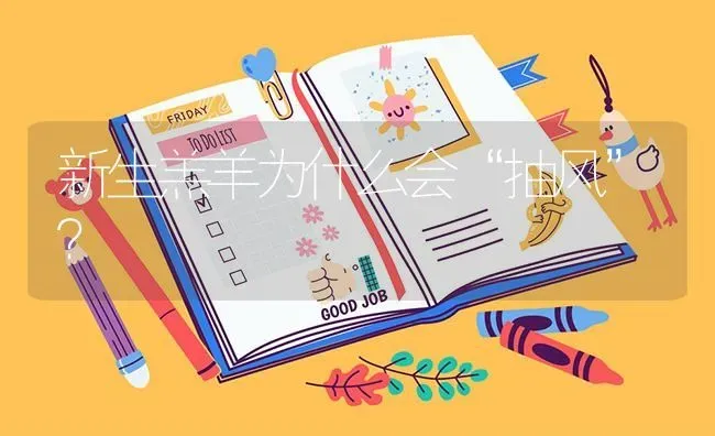 新生羔羊为什么会“抽风”？ | 家畜养殖