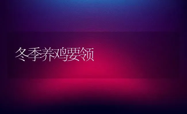 冬季养鸡要领 | 家禽养殖