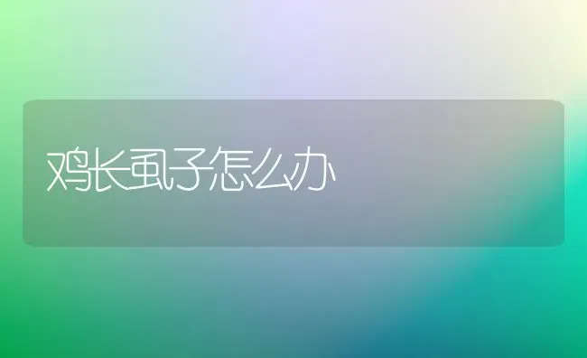鸡长虱子怎么办 | 家禽养殖