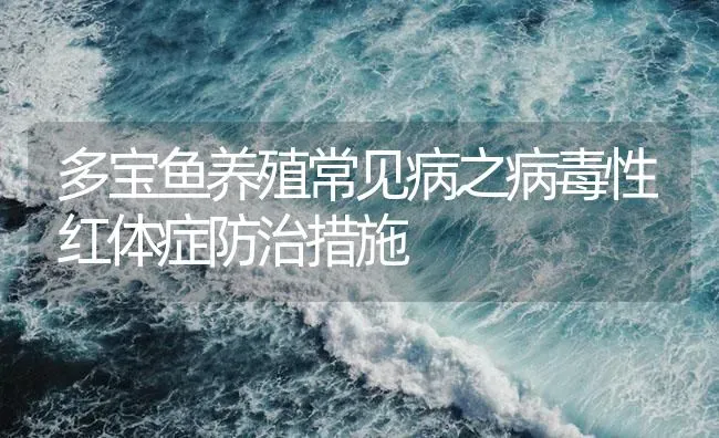 多宝鱼养殖常见病之病毒性红体症防治措施 | 海水养殖