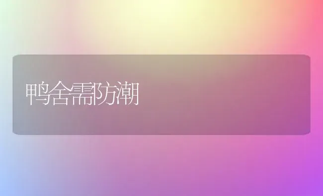 鸭舍需防潮 | 家禽养殖