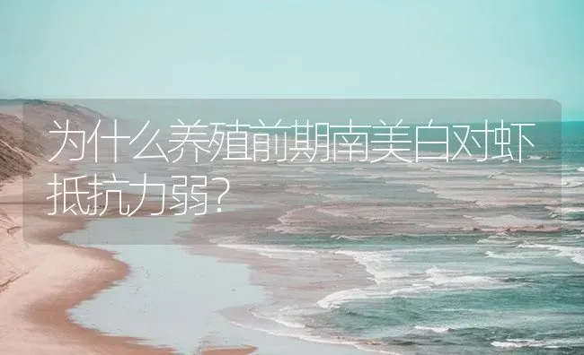 为什么养殖前期南美白对虾抵抗力弱？ | 海水养殖