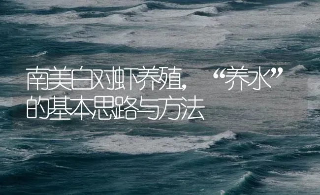南美白对虾养殖，“养水”的基本思路与方法 | 海水养殖