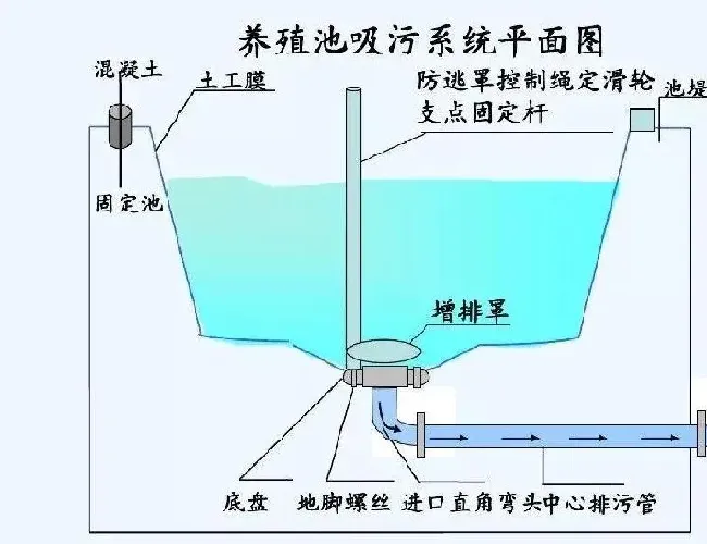 高位池养殖南美白对虾是如何设计的？