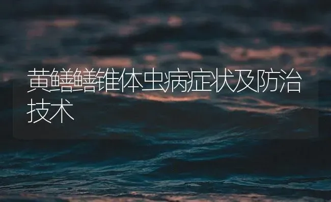 黄鳝鳝锥体虫病症状及防治技术 | 养殖病虫害防治