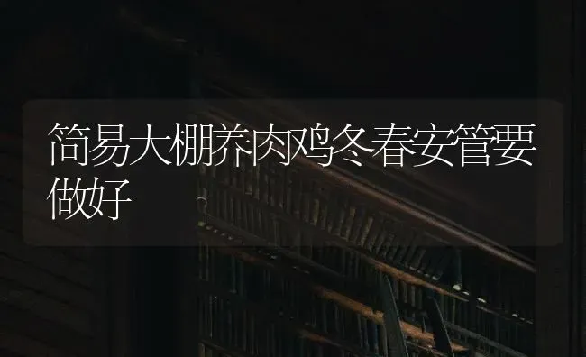简易大棚养肉鸡冬春安管要做好 | 家禽养殖