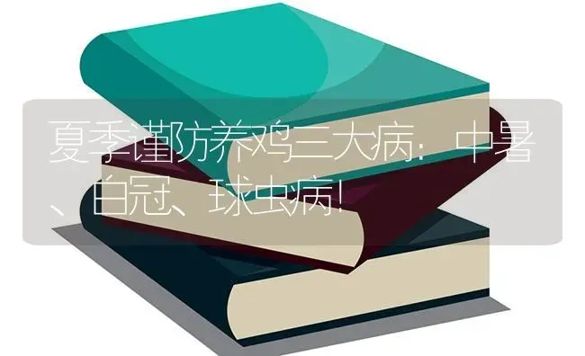 夏季谨防养鸡三大病：中暑、白冠、球虫病！ | 家禽养殖