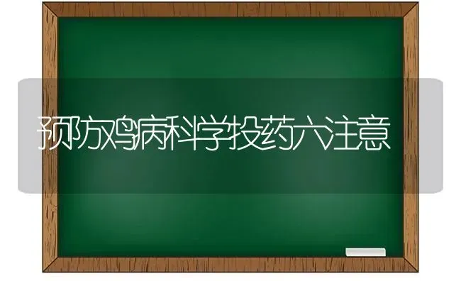 预防鸡病科学投药六注意 | 养殖病虫害防治