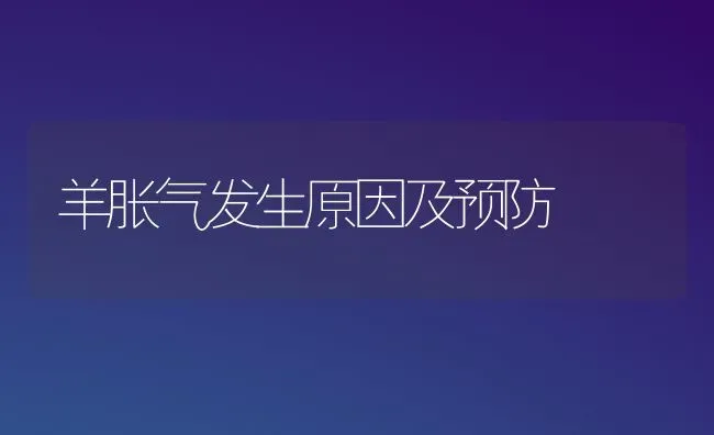 羊胀气发生原因及预防 | 家畜养殖