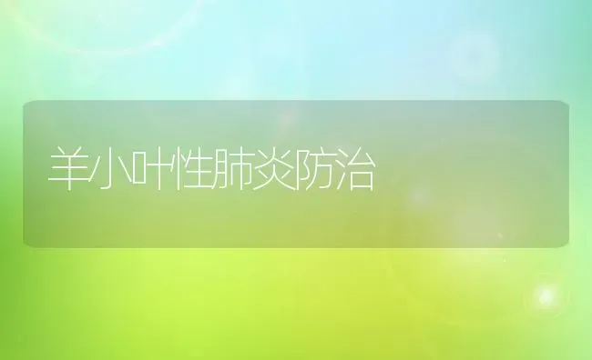 羊小叶性肺炎防治 | 家畜养殖