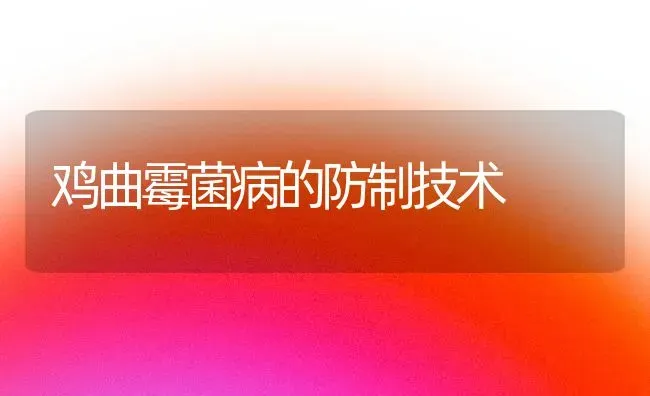 鸡曲霉菌病的防制技术 | 家禽养殖