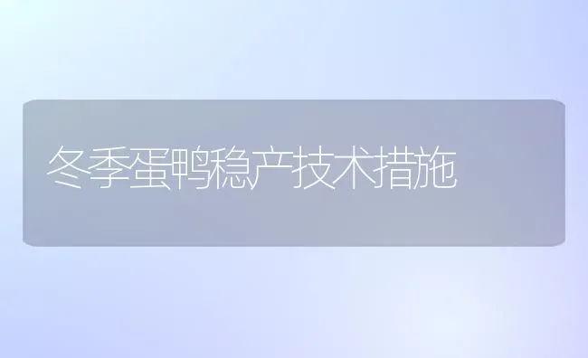 冬季蛋鸭稳产技术措施 | 家禽养殖