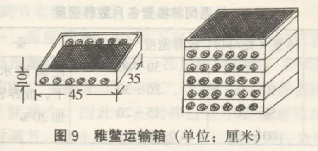 黄沙鳖养殖技术之稚鳖饲养