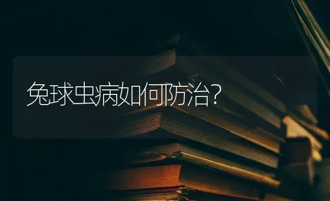 兔球虫病如何防治？ | 家畜养殖