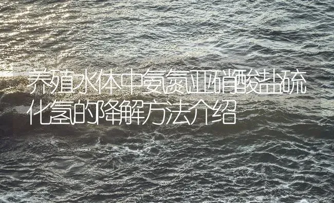 养殖水体中氨氮亚硝酸盐硫化氢的降解方法介绍 | 动物养殖百科