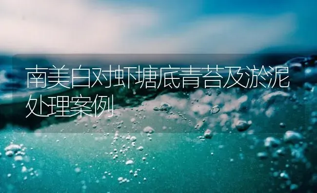 南美白对虾塘底青苔及淤泥处理案例 | 海水养殖