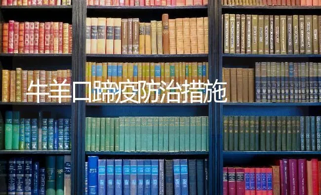 牛羊口蹄疫防治措施 | 家畜养殖